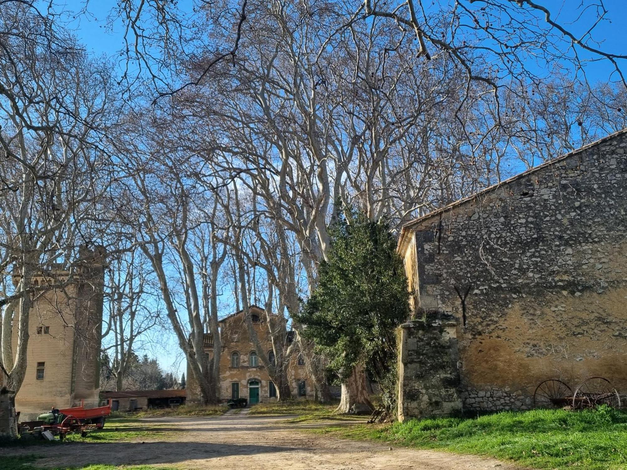 Les Garrigues De La Vallee Des Baux Paradou Zewnętrze zdjęcie