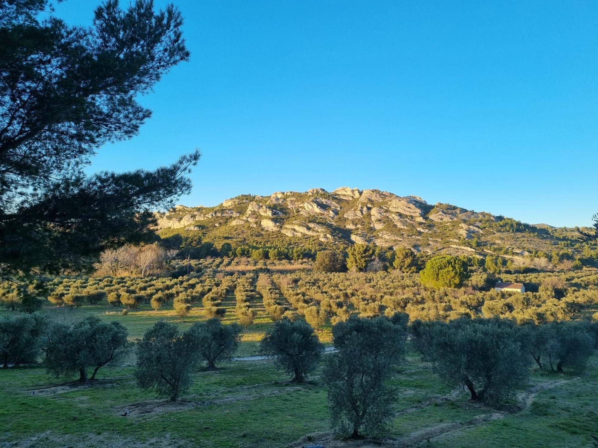 Les Garrigues De La Vallee Des Baux Paradou Zewnętrze zdjęcie