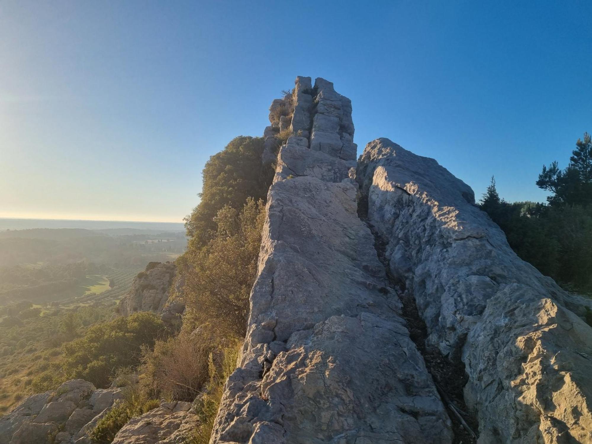 Les Garrigues De La Vallee Des Baux Paradou Zewnętrze zdjęcie