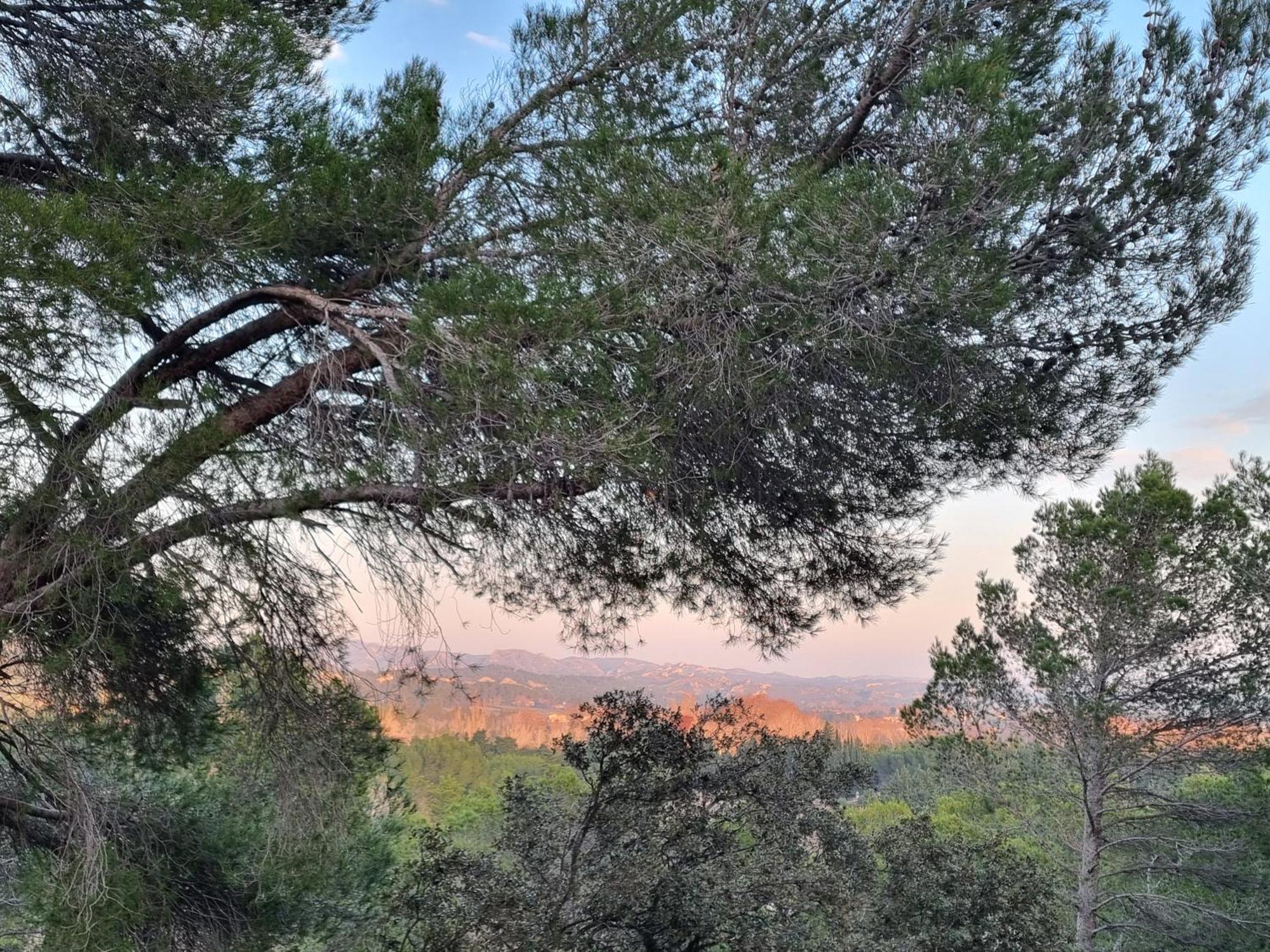 Les Garrigues De La Vallee Des Baux Paradou Zewnętrze zdjęcie