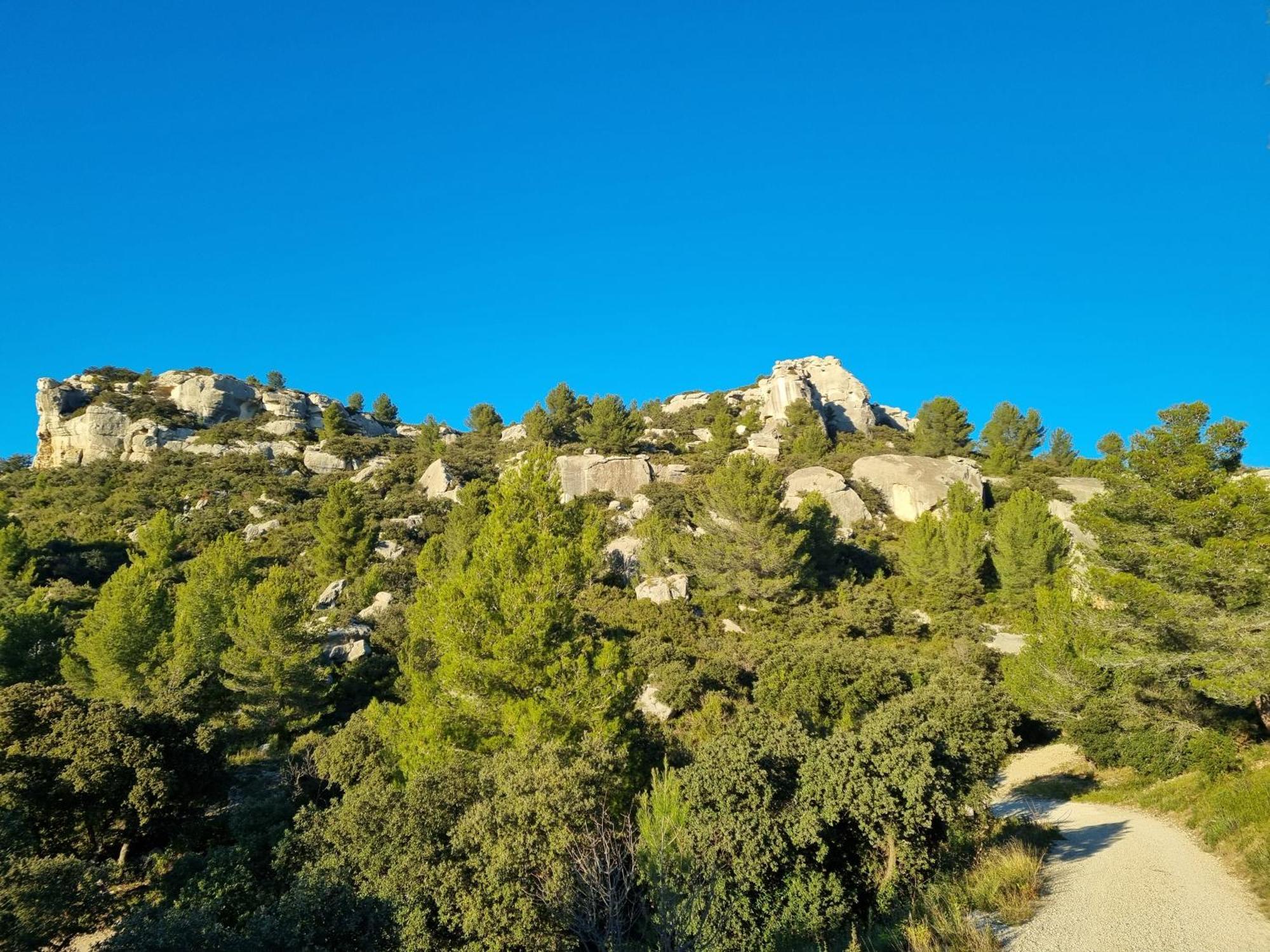 Les Garrigues De La Vallee Des Baux Paradou Zewnętrze zdjęcie